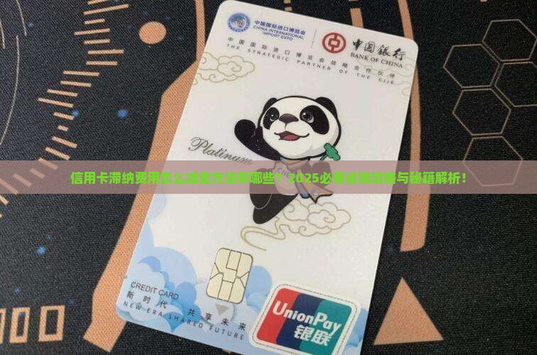 信用卡滞纳费用怎么减免方法有哪些