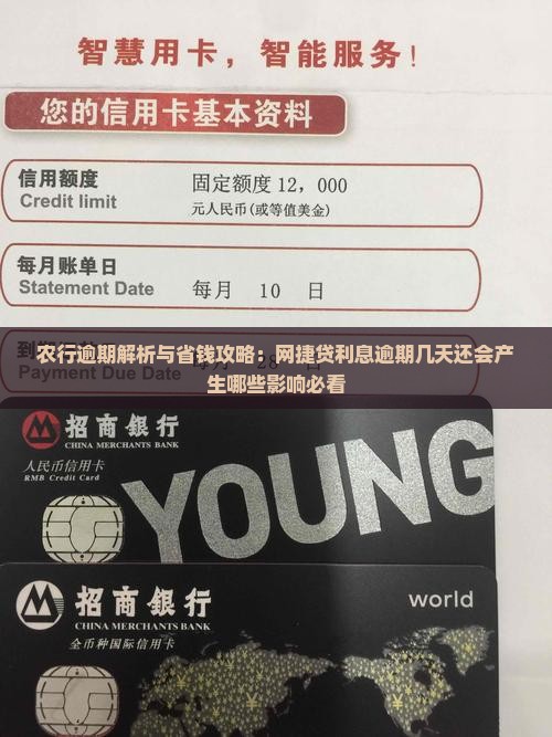 农行网捷贷利息逾期几天还会产生哪些影响