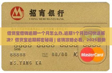 借贷宝借钱逾期一个月怎么办