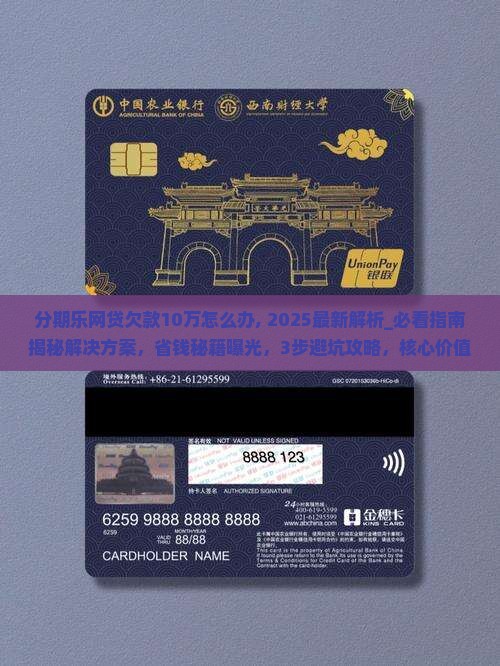 分期乐网贷欠款10万怎么办