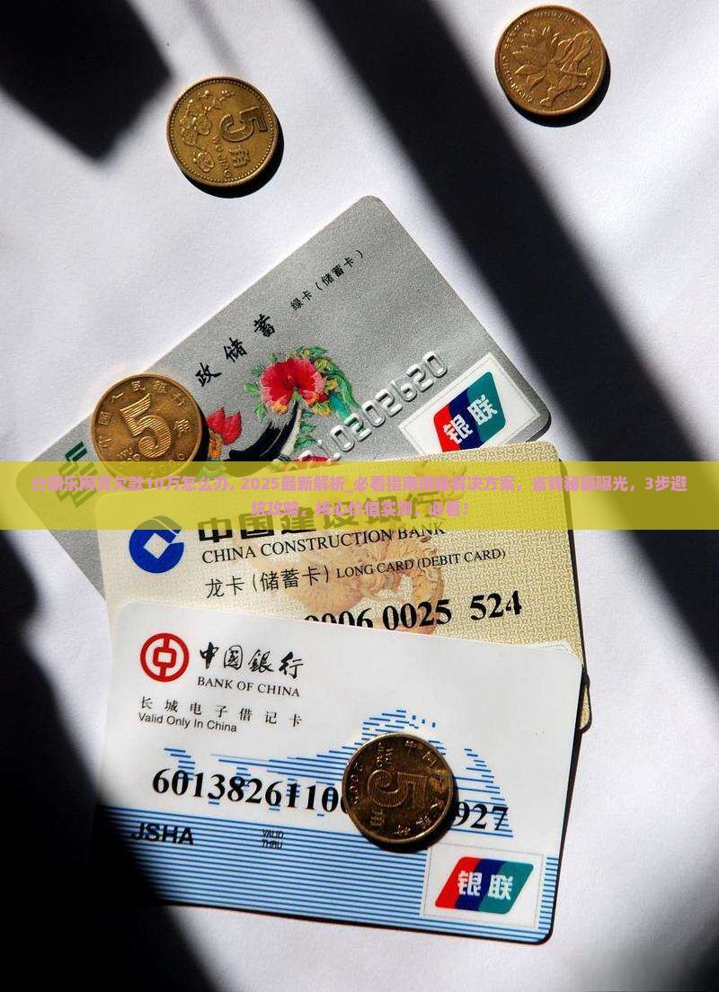 分期乐网贷欠款10万怎么办