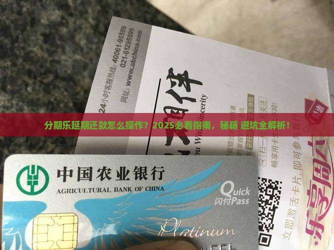 分期乐延期申请规则详解