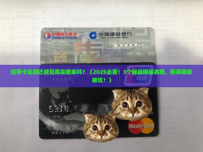 信用卡逾期还款后会撤案吗