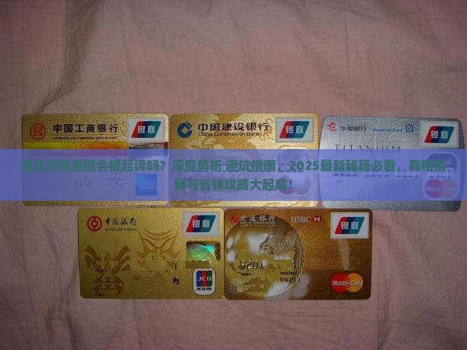 湖北消费金融会被起诉吗