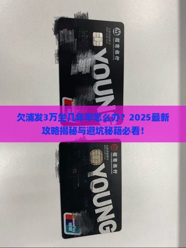 欠浦发3万坐几年牢怎么办