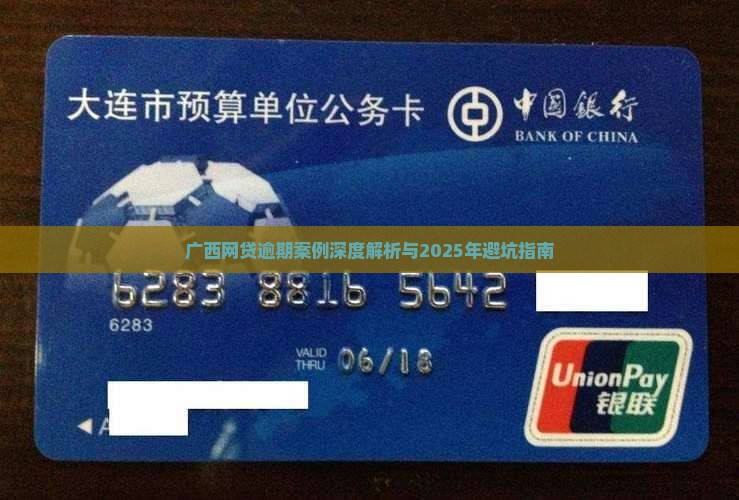 广西网贷逾期案例分析
