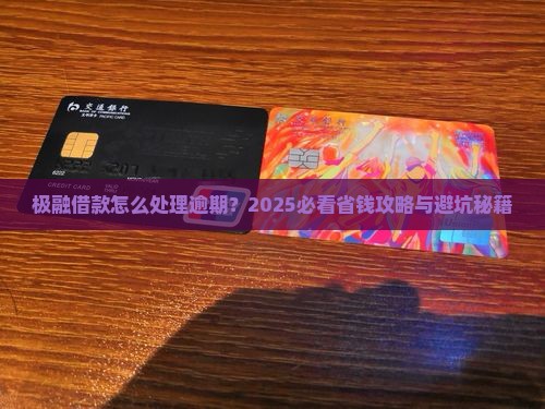 极融贷款欠款怎么处理