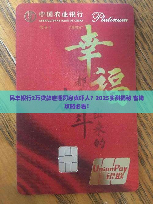 民丰银行贷款逾期2万元罚息一天是多少