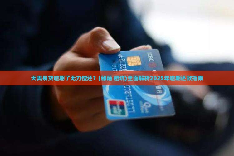 天美易贷逾期无力偿还 天美易贷逾期无力偿还
