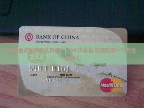 招联金融能不能延期一个月处理方式是什么