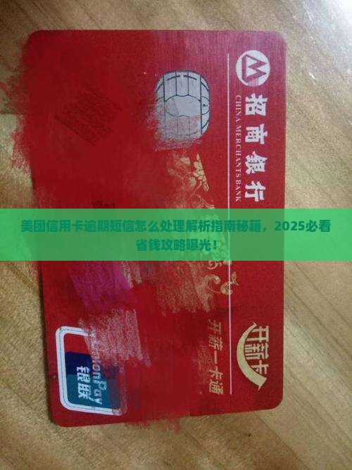 美团信用卡逾期短信怎么处理