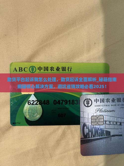 助贷平台起诉我怎么处理