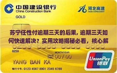 苏宁任性付逾期三天的后果
