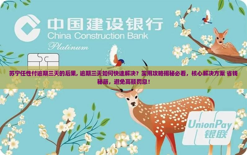 苏宁任性付逾期三天的后果