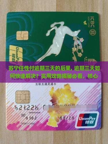 苏宁任性付逾期三天的后果