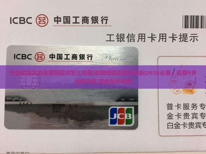 天星金融发的逾期短信该怎么处理
