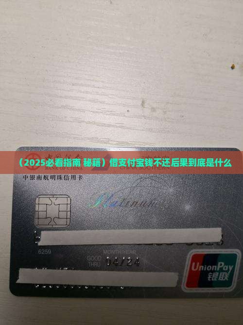 借支付宝钱不还会怎么样导致的后果是什么