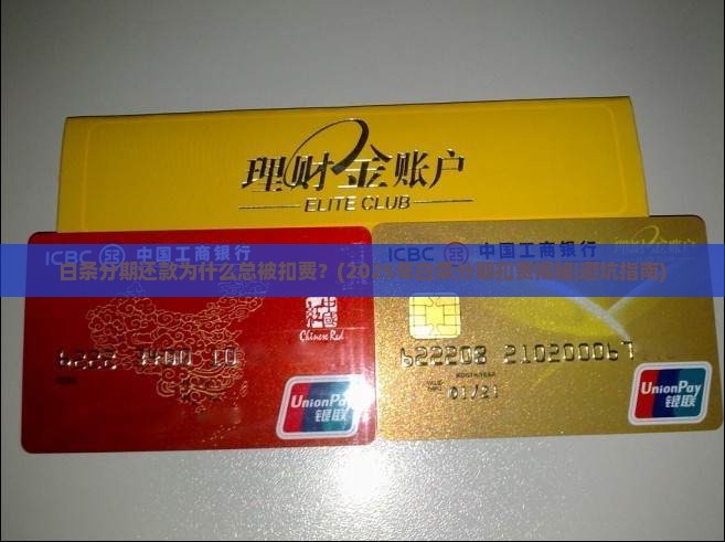 白条分期还款原因解析