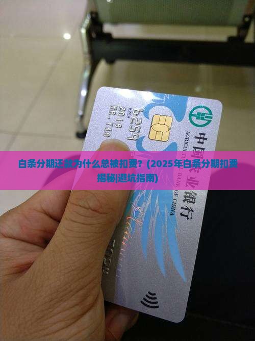 白条分期还款原因解析