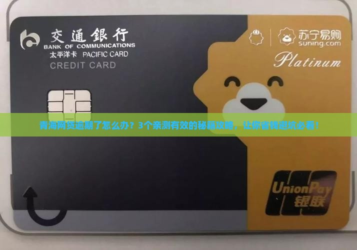 网贷逾期了怎么办青海