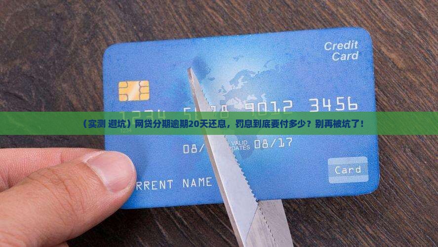 网贷分期逾期20天还息需要支付多少罚息