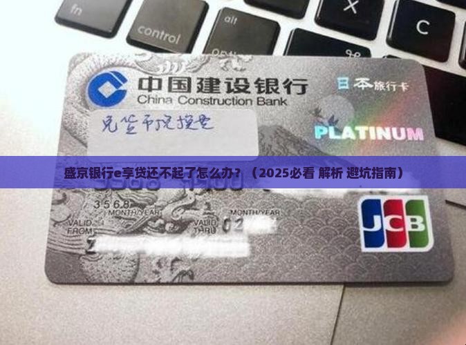 盛京银行e享贷还不起了怎么办