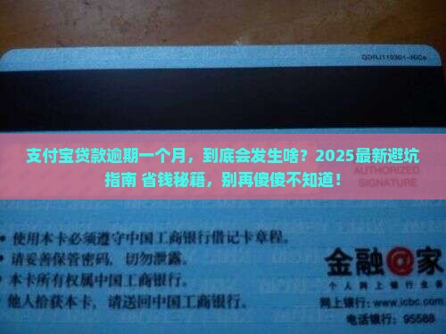 支付宝贷款逾期一个月后会发生什么