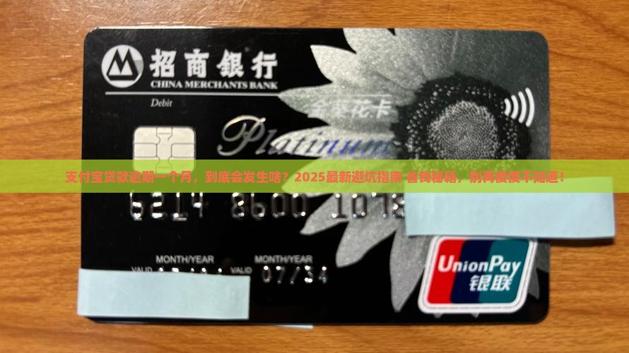 支付宝贷款逾期一个月后会发生什么