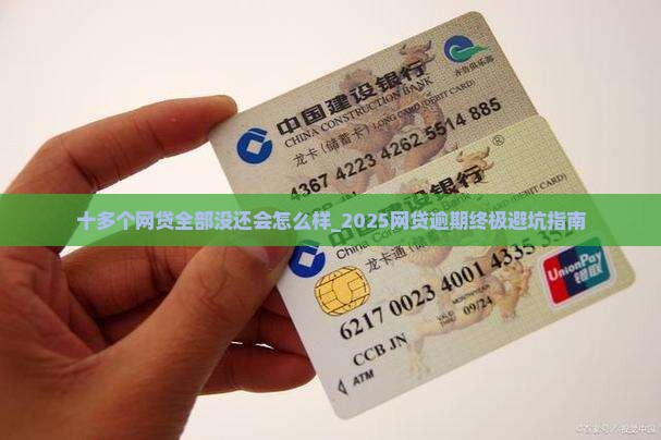 十多个网贷全部没还会怎么样