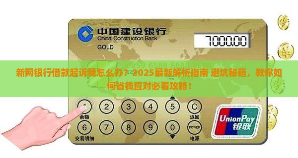 新网银行借款起诉我怎么办