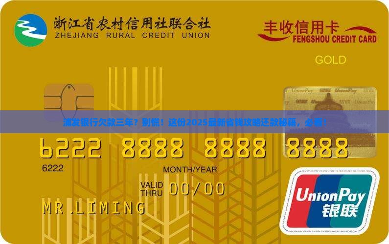 浦发银行欠款三年协商还款方案