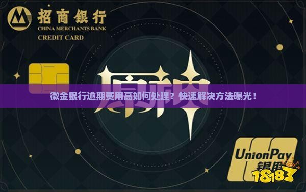 徽金银行逾期费用高如何处理