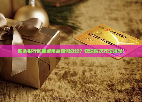 徽金银行逾期费用高如何处理