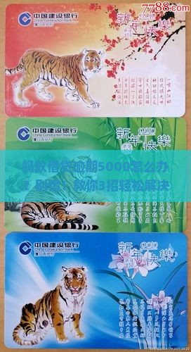 蚂蚁借贷逾期5000怎么办
