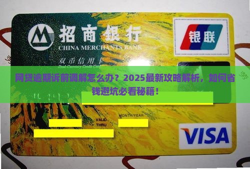 网贷逾期诉前调解怎么办