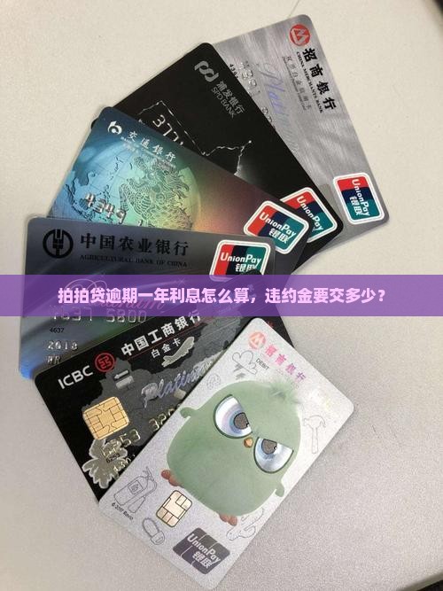 拍拍贷逾期一年怎么处理违约金及利息如何计算