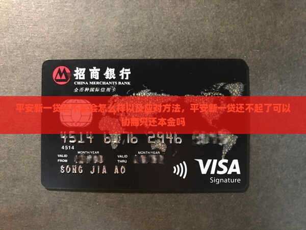 平安新一贷还不起会怎么样以及应对方法