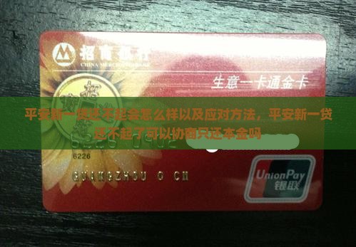 平安新一贷还不起会怎么样以及应对方法