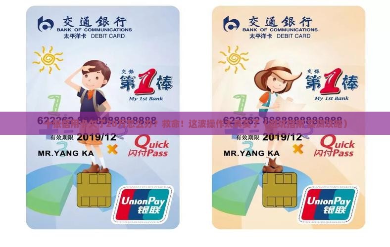 十张信用卡欠款20万怎么办