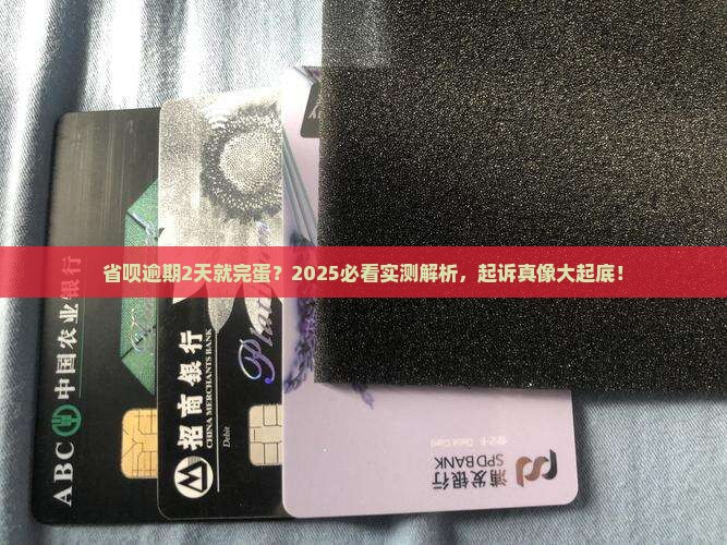 省呗逾期2天会被起诉吗