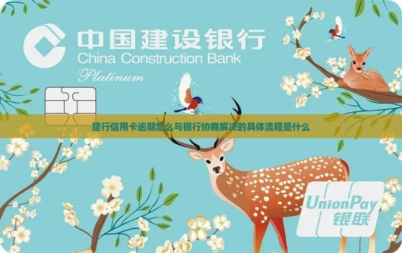 北京建设银行逾期还款协商的具体流程是什么