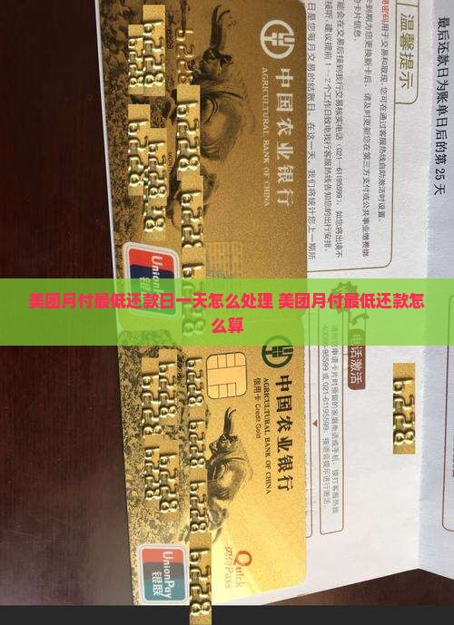 美团月付最低还款日一天怎么处理