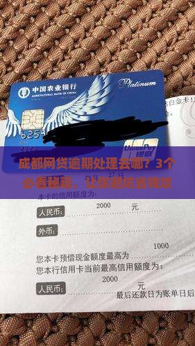 成都法务处理网贷逾期应该去哪里处理
