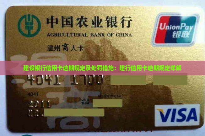 建设银行信用卡逾期规定及处罚措施