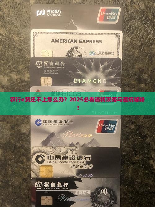 农行e贷怎么办还不上