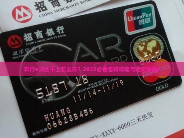 农行e贷怎么办还不上