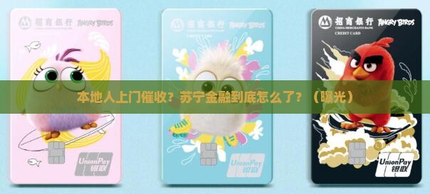 苏宁金融叫本地人上门催收
