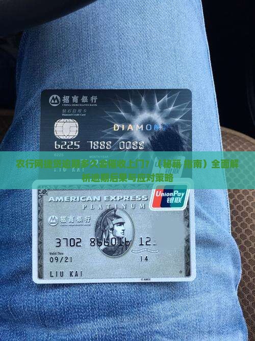 农行网捷贷逾期多久会催收上门