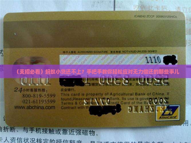 蚂蚁小贷还不起无力偿还怎么办