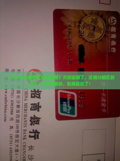欠款逾期能否分期还款